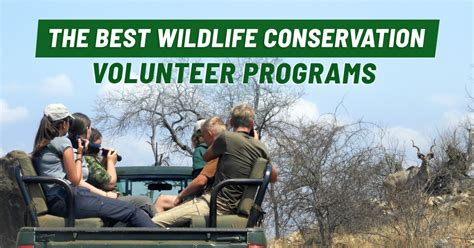 wildlife conservation volunteer programs.